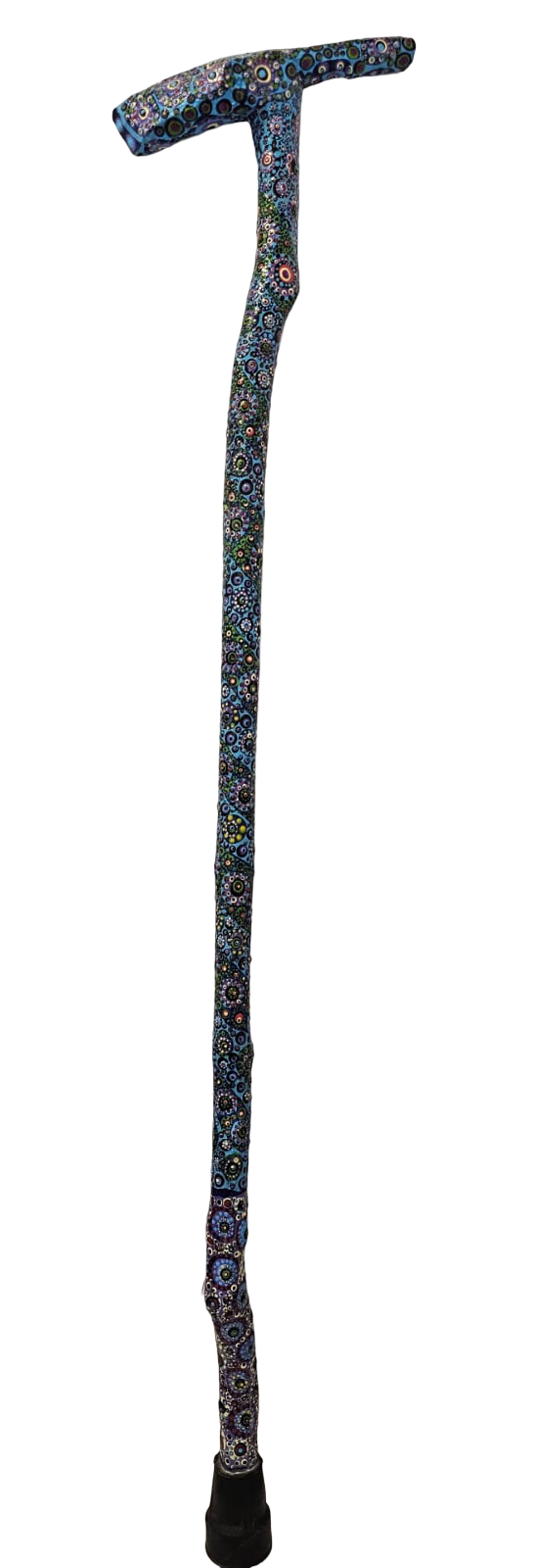 WhatsApp Image 2026-02-23 at 11.36.55 AM