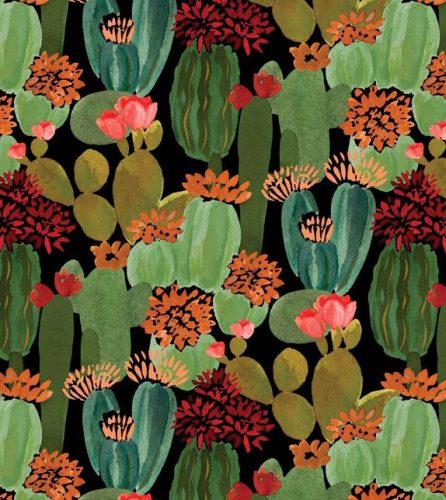 JARDIN-DE-CACTUS