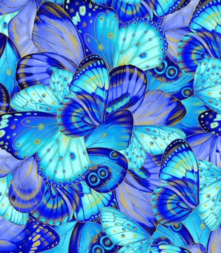 Mariposas Azul