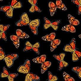 Mariposa Monarca / Monarch Butterfly